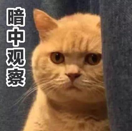 [光明网]吊销驾照不悔改 无证驾驶再被查……