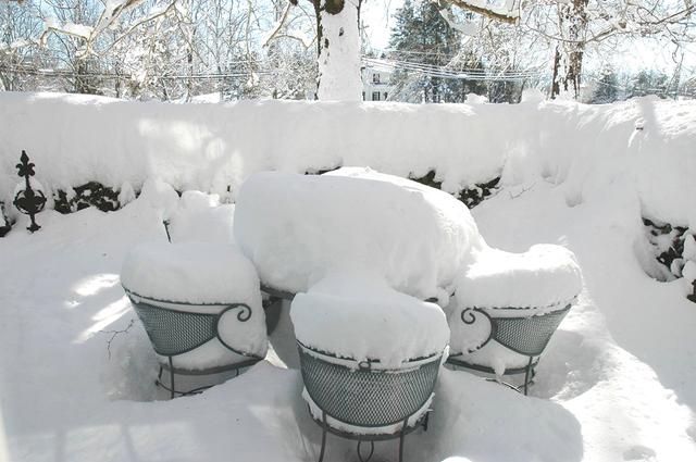 澎湃新闻：钟芳玲：念想鲍德温书仓