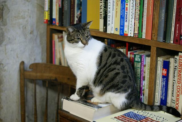 澎湃新闻：钟芳玲：念想鲍德温书仓