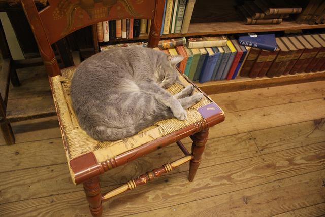 澎湃新闻：钟芳玲：念想鲍德温书仓