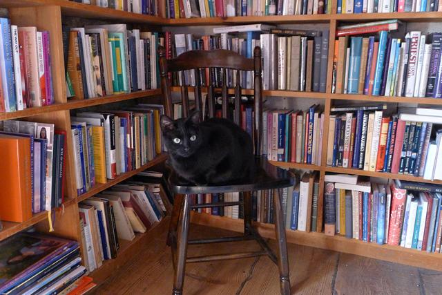 澎湃新闻：钟芳玲：念想鲍德温书仓