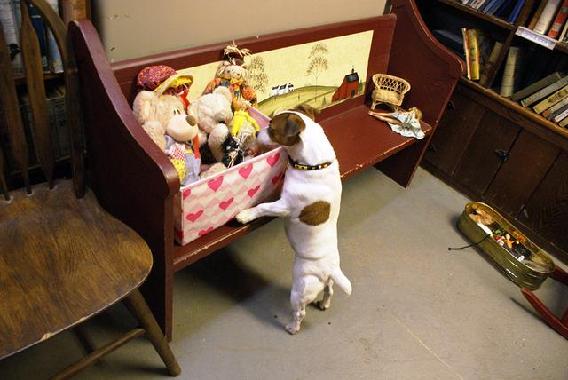 澎湃新闻：钟芳玲：念想鲍德温书仓