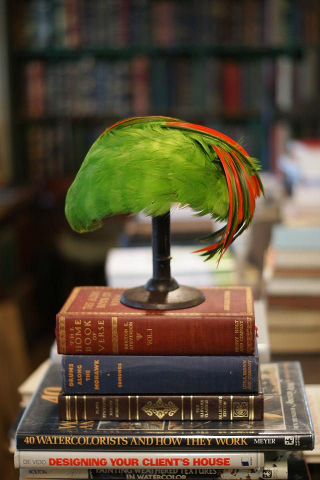 澎湃新闻：钟芳玲：念想鲍德温书仓