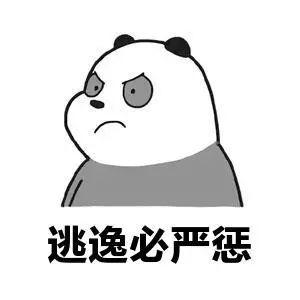 光明网：肇事逃逸不可取 科技显威擒逃犯