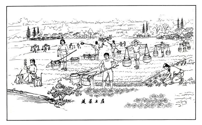 好亲切新泾镇有自己的连环画啦