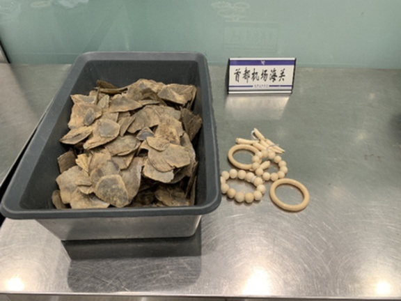 【新华网】海关：出境游旅客莫带濒危动植物制品回国