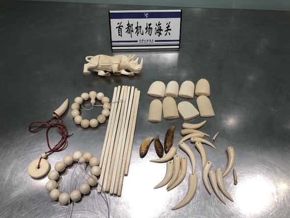【新华网】海关：出境游旅客莫带濒危动植物制品回国