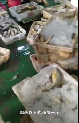 中国经济网■渔民在同一海域1周捕获8万斤黄花鱼 渔政坐不住了