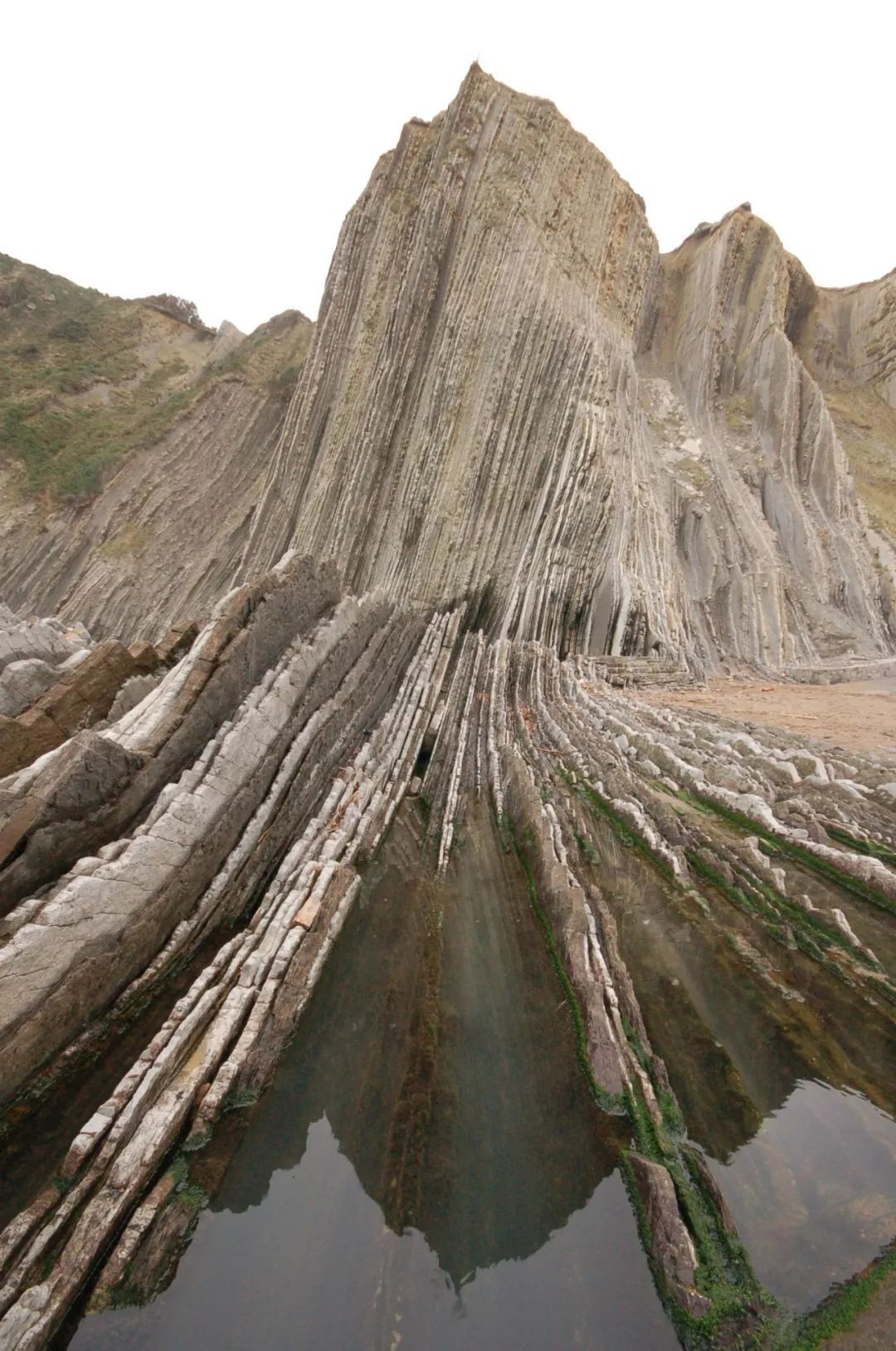 图说地球‖复理石崖岸(ruta del flysch zumaia)