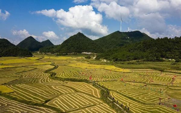 [光明网]10月新规出炉！第一条就与你息息相关