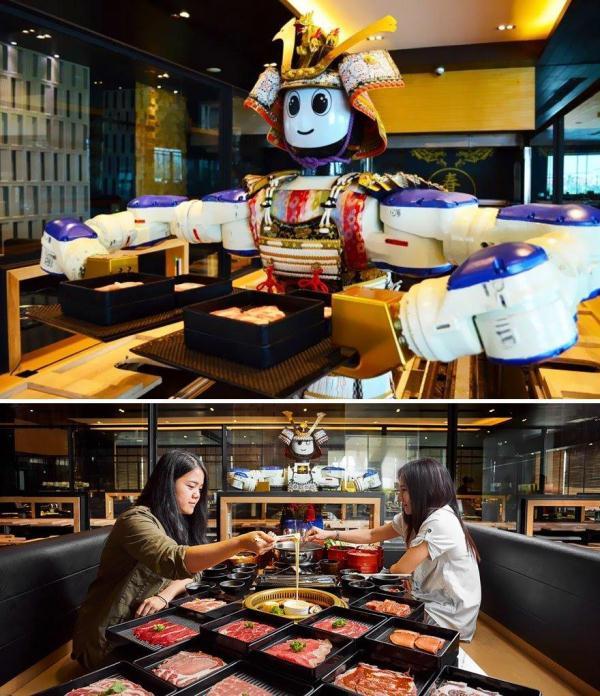 「光明网」全球奇葩餐厅图鉴：与蛇共进晚餐 坐轮椅饮“血”