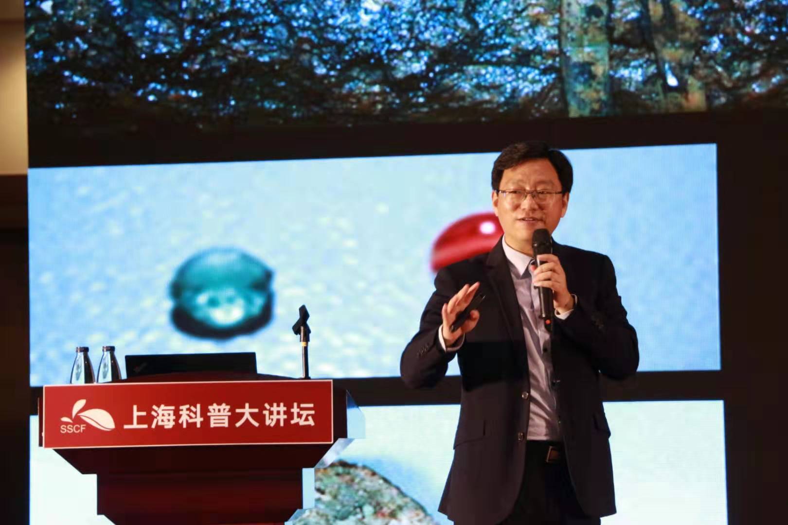文汇报@800年前海上丝绸之路宋朝人出海吃什么？他们用了36年打捞起180000件文物，居然还有它