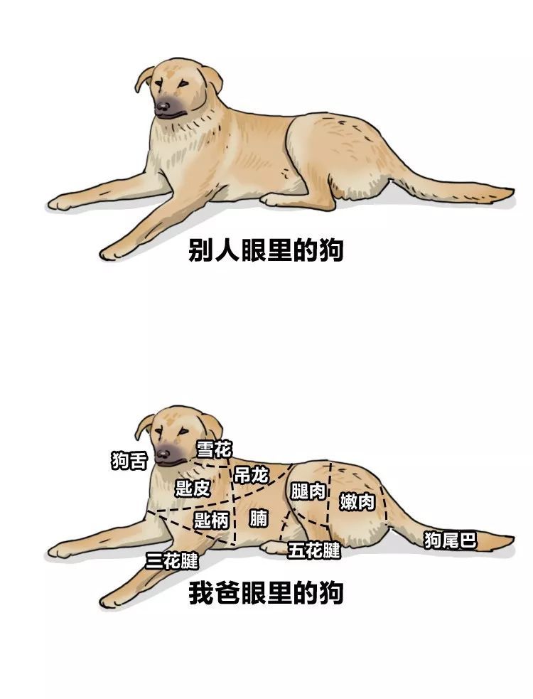 #长安剑#“妈，我想吃外卖。”“我看你像外卖。”【中国为什么行之十】