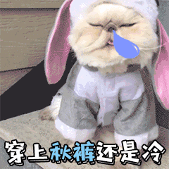 「气象北京」阳光依旧且行且珍惜