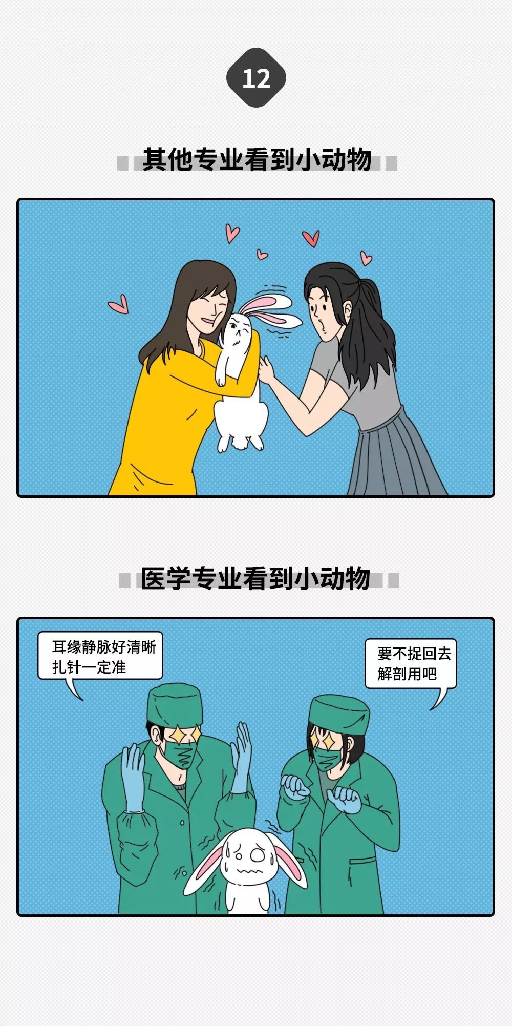 「中国新闻社」大学专业只分两种：学医的和其他