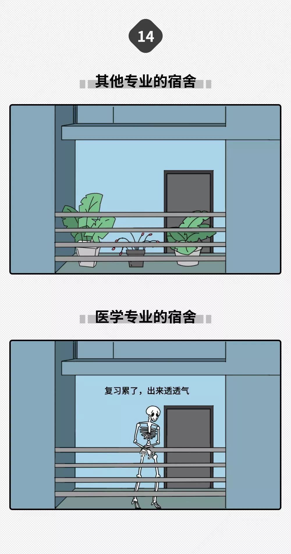 「中国新闻社」大学专业只分两种：学医的和其他