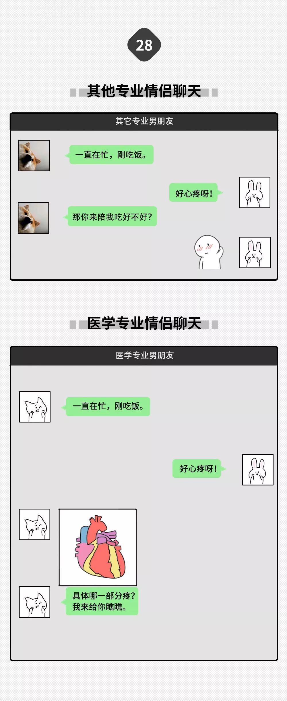 「中国新闻社」大学专业只分两种：学医的和其他