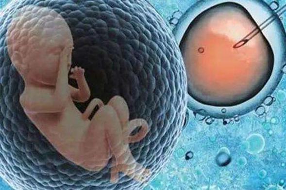 「光明网」试管婴儿的寿命和正常婴儿一样吗？看完你就知道了