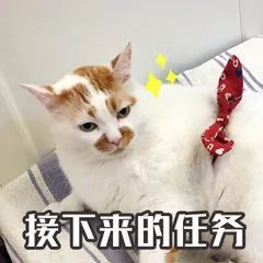 【21世纪经济报道】国庆为啥不回家？有人总结了3大理由！网友：我太难了...