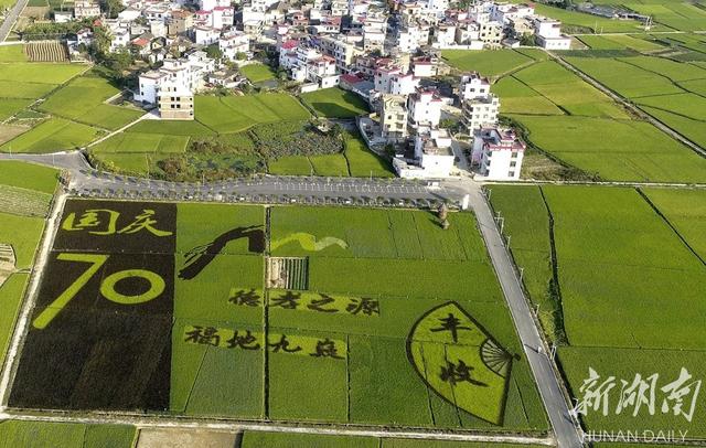 9月28日,寧遠縣灣井鎮周家壩村,藍天白雲下稻田裡的彩色稻字符,村莊