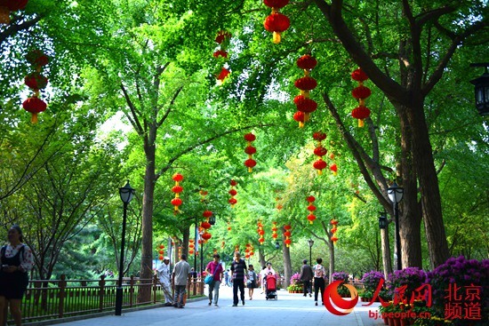 人民网-北京频道@北京陶然亭公园近40万株花卉迎国庆