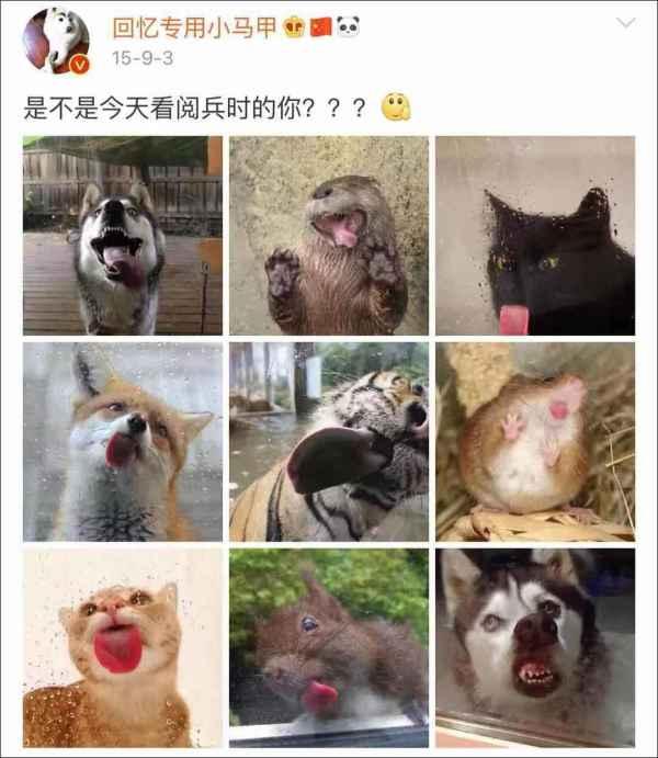 #观察者网#身在网吧，心系国家...