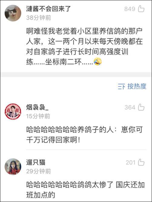 「观察者网」国庆大会的7万和平鸽 是从北京市民家里借来的