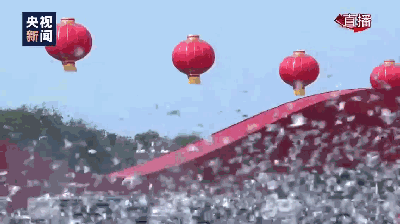 「观察者网」国庆大会的7万和平鸽 是从北京市民家里借来的