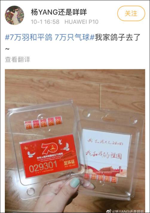 「观察者网」国庆大会的7万和平鸽 是从北京市民家里借来的