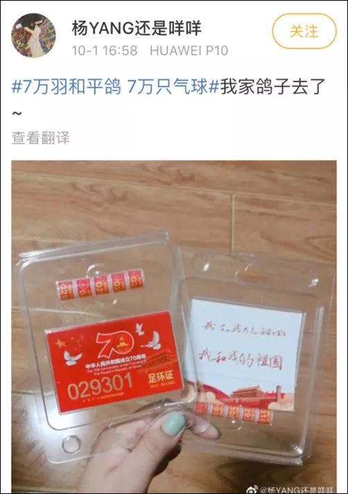 「文汇报」视频 | 7万只鸽鸽回家：没想到吧，国庆阅兵仪式上的鸽子都是借的