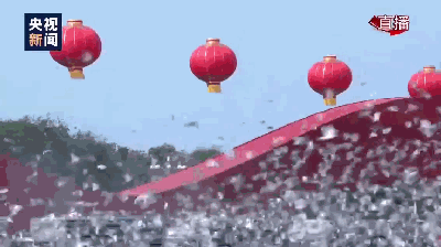 新闻坊@啊啊啊？大阅兵式上7万只鸽子是借来的？！回回…回去了没？