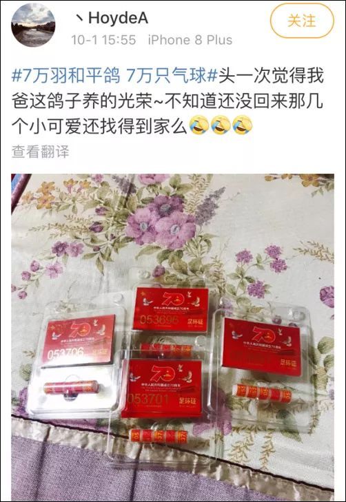 新闻坊@啊啊啊？大阅兵式上7万只鸽子是借来的？！回回…回去了没？