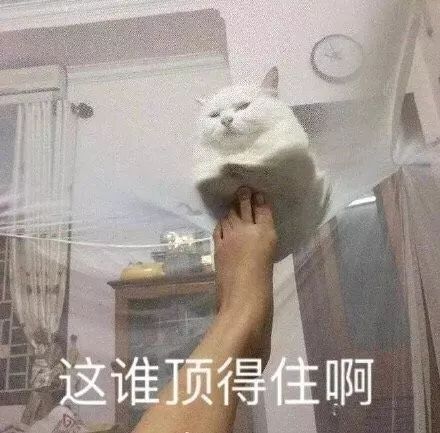 【中国天气网】冷空气发货！局地降温超12℃ 北方大面积气温创今年下半年来新低，但南方......