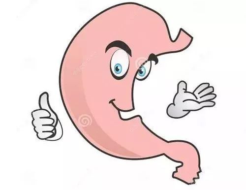 [新华社]假期大鱼大肉太油腻？六个清肠养胃的妙招！