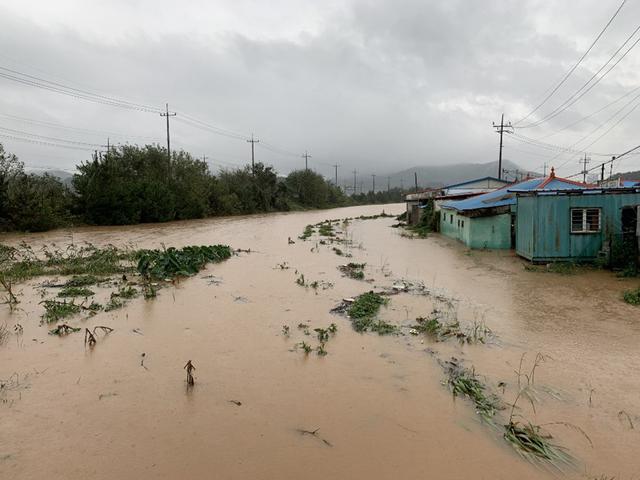 【环球网】台风“米娜”即将登陆韩国 强降雨致街道农田被淹没