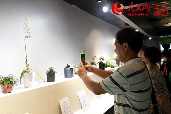 人民网-北京频道@40余种珍稀植物亮相中国特色及世界珍稀植物展