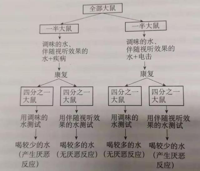 #新京报#外出旅游，为什么新奇的特产很难让你觉得好吃？