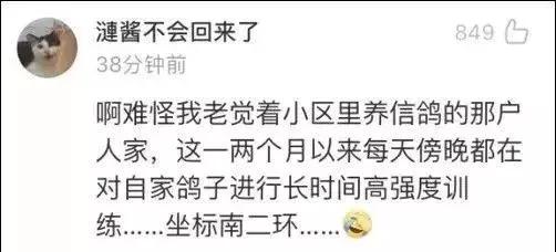 新民晚报@主持人累到吸氧，7万只鸽子是借的，阅兵幕后同样让人特别激动
