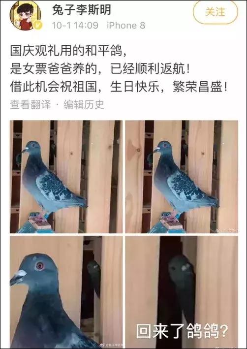 新民晚报@主持人累到吸氧，7万只鸽子是借的，阅兵幕后同样让人特别激动