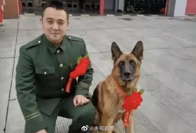 新闻晨报：汶川地震最后一只搜救犬离世：救出15人，暴瘦十几斤