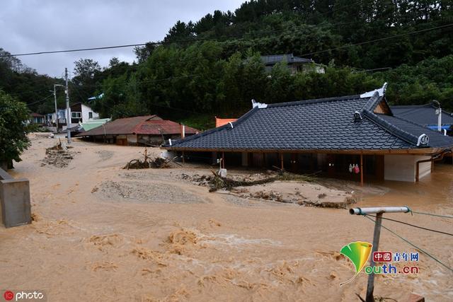 「中国青年网」台风“米娜”袭击韩国致4死2人失踪 车辆房屋浸泡洪水中