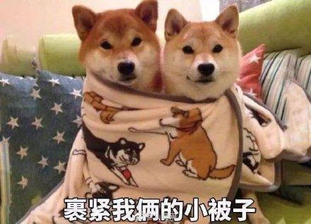 「光明网」今天你是被冻醒的吗？