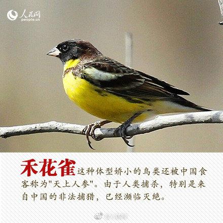 光明网■今天，你愿为人类的朋友转吗？