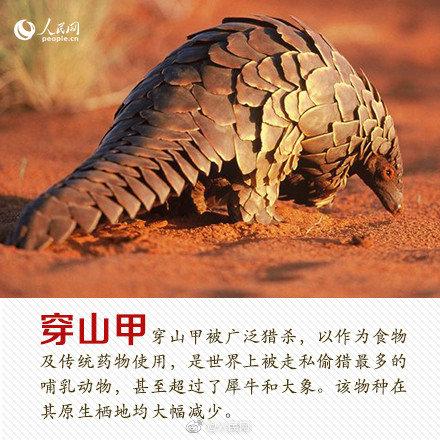 光明网■今天，你愿为人类的朋友转吗？