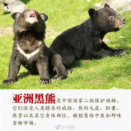 光明网■今天，你愿为人类的朋友转吗？