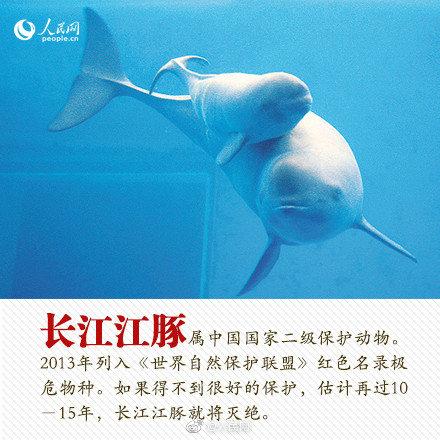 光明网■今天，你愿为人类的朋友转吗？