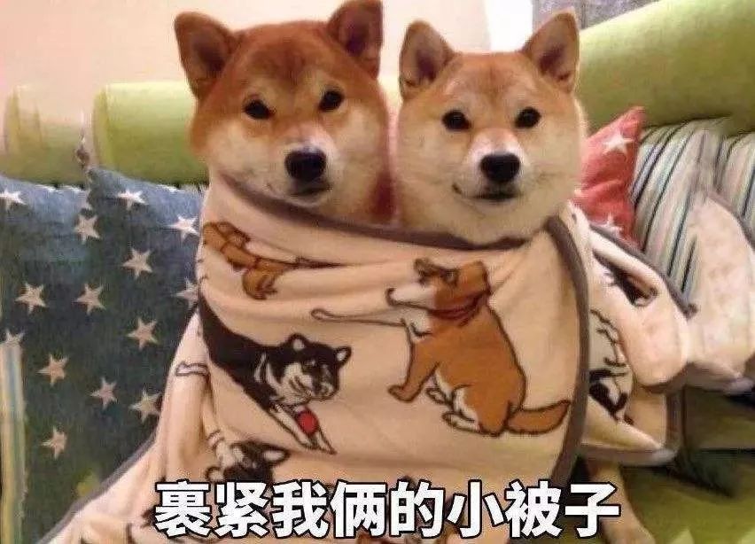 「中国新闻网」冷空气席卷北方，多地气温断崖式下降！秋裤安排上了吗？