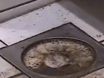 【海外网】韩国19岁女生在公厕被“臭晕”2个月后脑损伤死亡