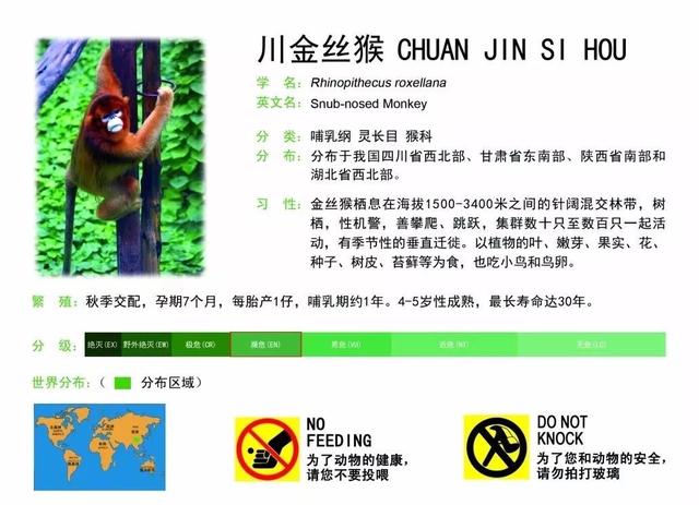 新京报■国庆生活记忆│去游园