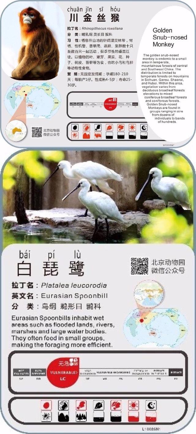 新京报■国庆生活记忆│去游园